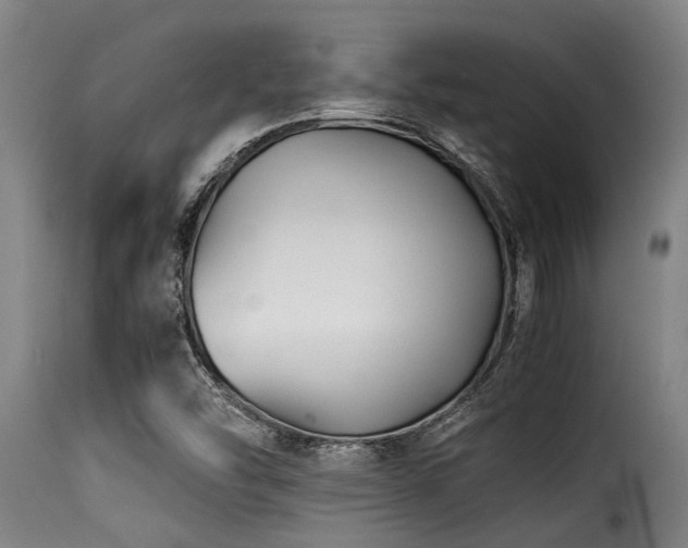 X0000116001454200911191413