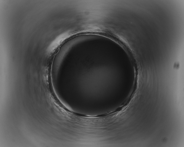 X0000116001455200911191413