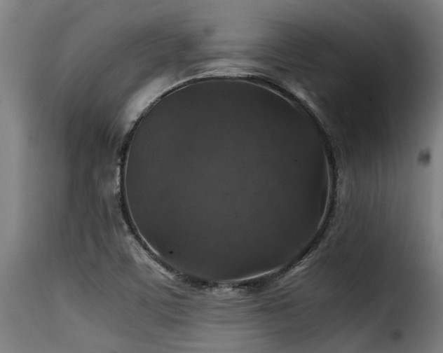 X0000116001459200911191413