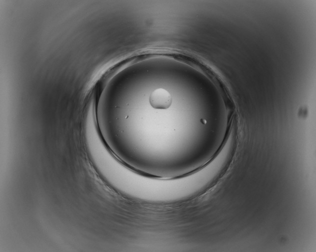 X0000116001461200911191413