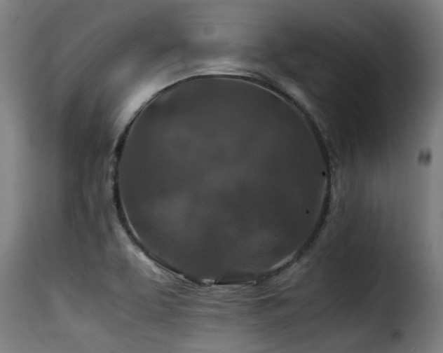 X0000116001463200911191413