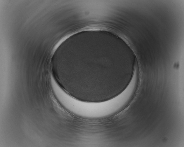 X0000116001465200911191413