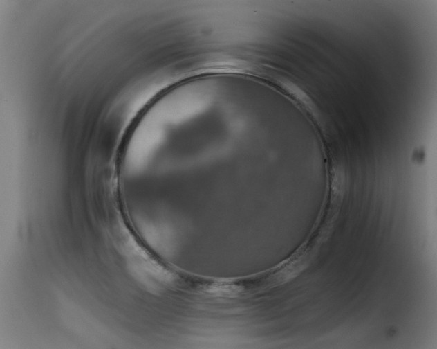 X0000116001466200911191413