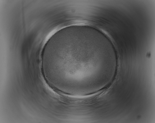 X0000116001467200911191413