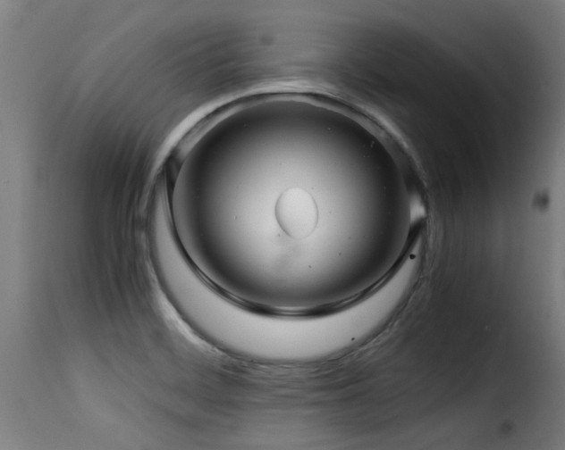 X0000116001468200911191413