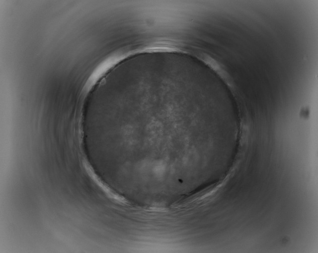 X0000116001469200911191413