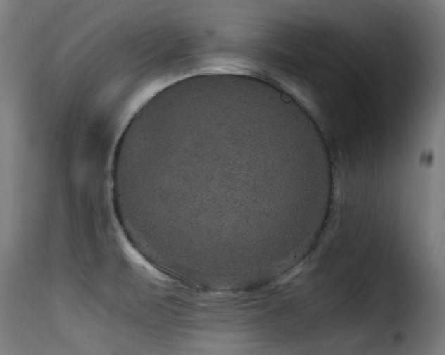 X0000116001471200911191413