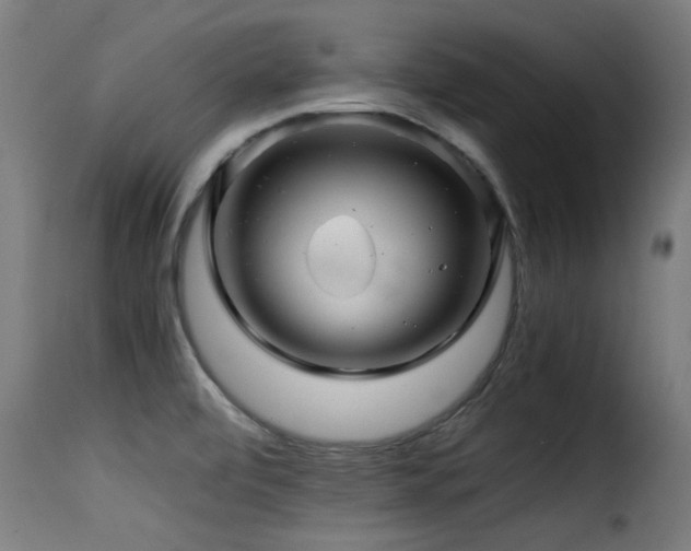 X0000116001472200911191413