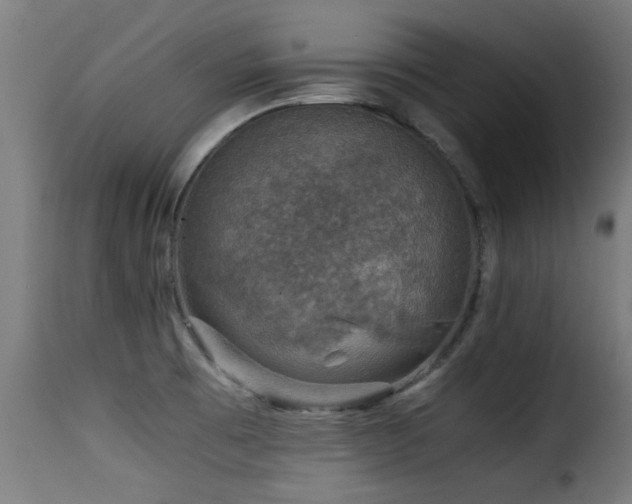 X0000116001473200911191413