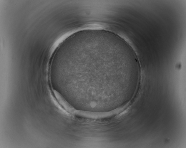 X0000116001477200911191413