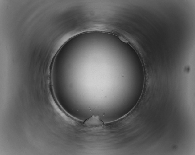 X0000116001479200911191413