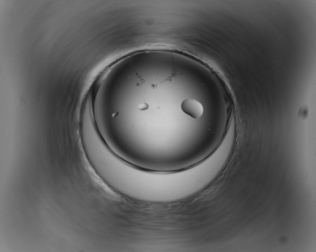 X0000116001480200911191413