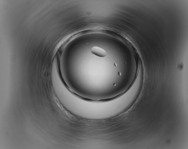 X0000116001481200911191413