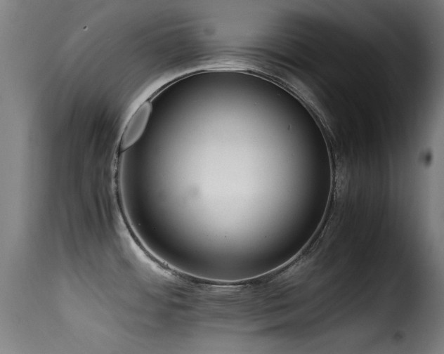 X0000116001484200911191413