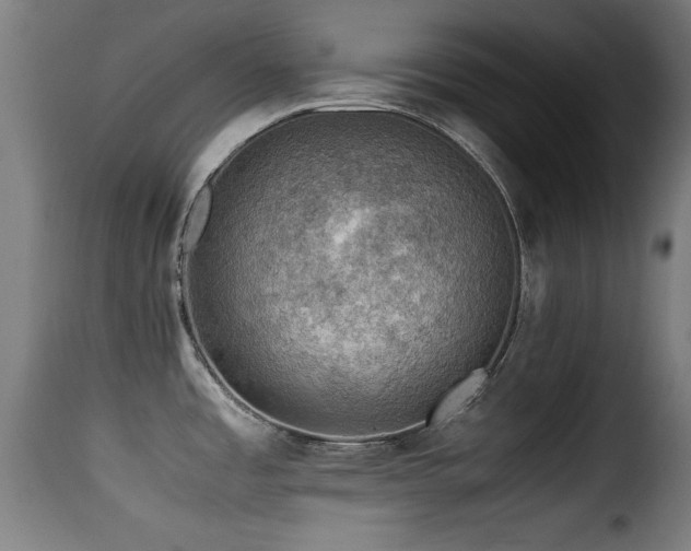 X0000116001485200911191413