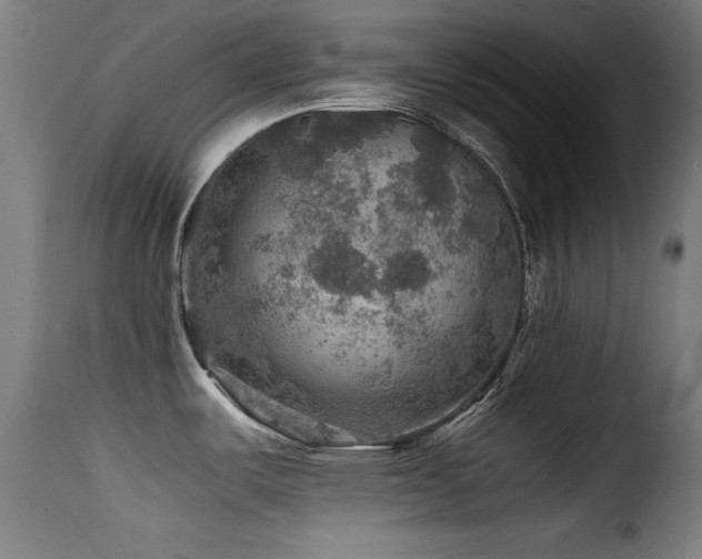 X0000116001487200911191413