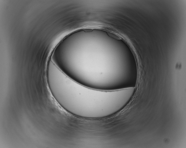 X0000116001488200911191413