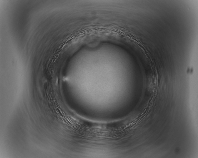 X0000116001489200911191412