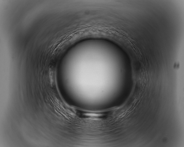 X0000116001490200911191412