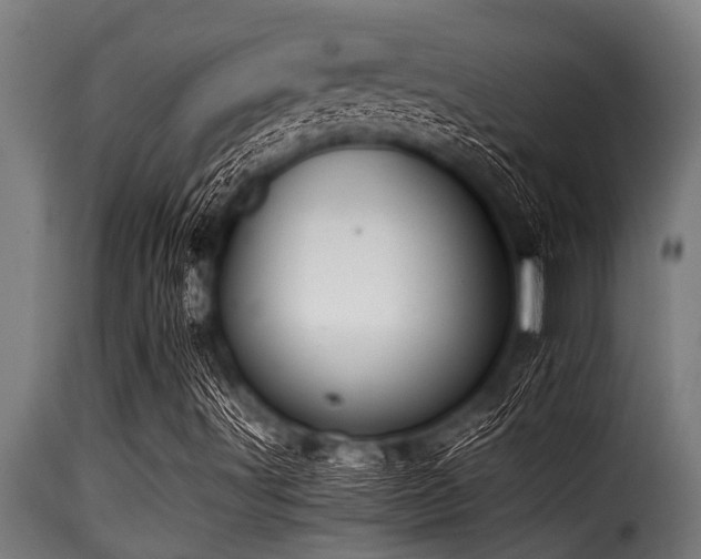 X0000116001491200911191412