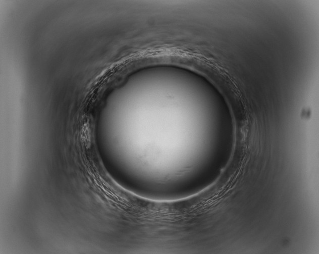 X0000116001493200911191412