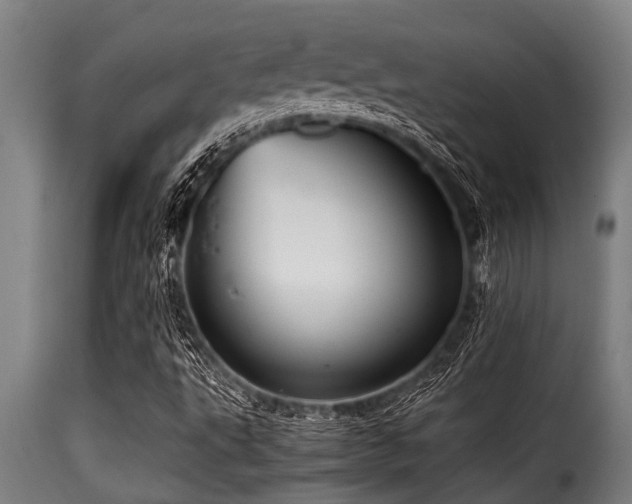 X0000116001495200911191412