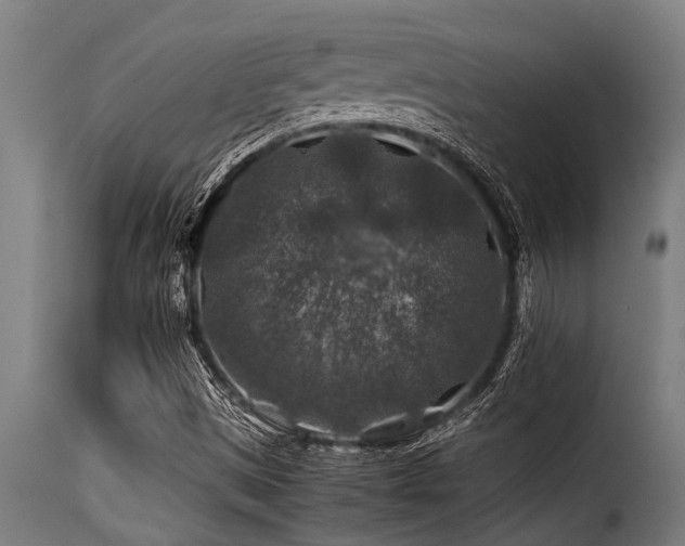 X0000116001497200911191412