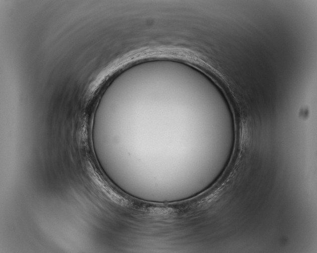 X0000116001498200911191412