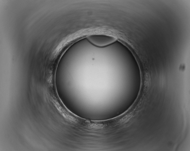 X0000116001499200911191412