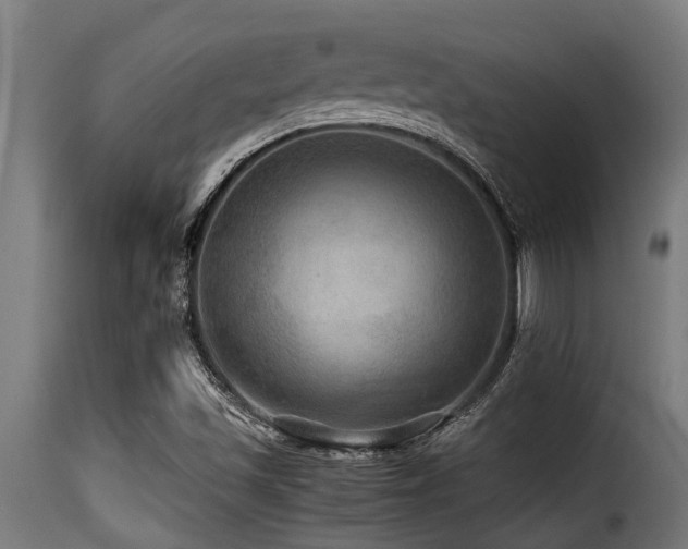 X0000116001501200911191412