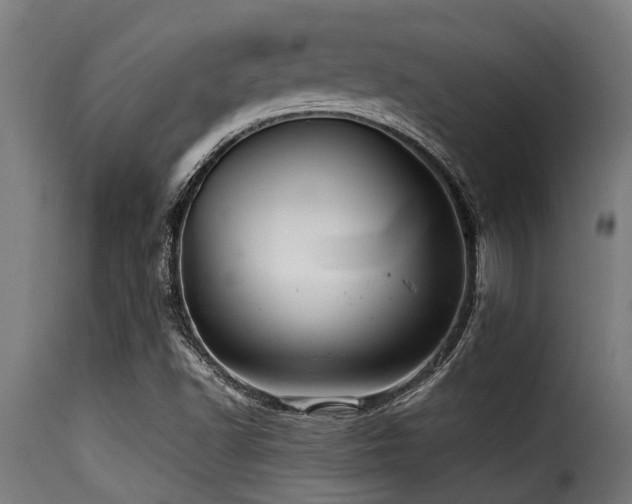 X0000116001502200911191412