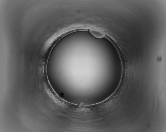 X0000116001503200911191412