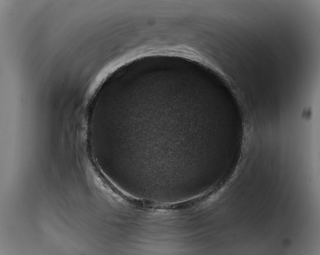 X0000116001506200911191412