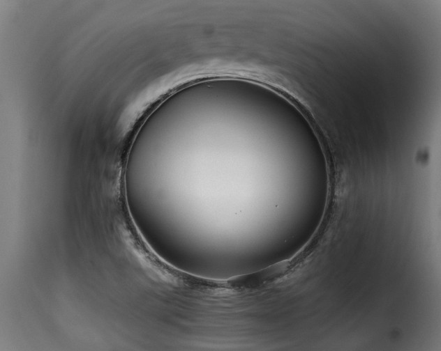 X0000116001507200911191412