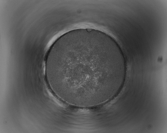 X0000116001509200911191412