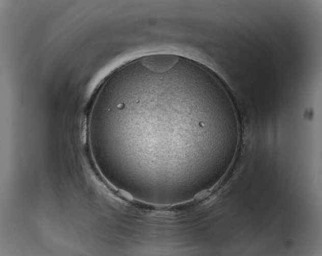 X0000116001510200911191412