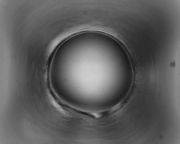 X0000116001511200911191412