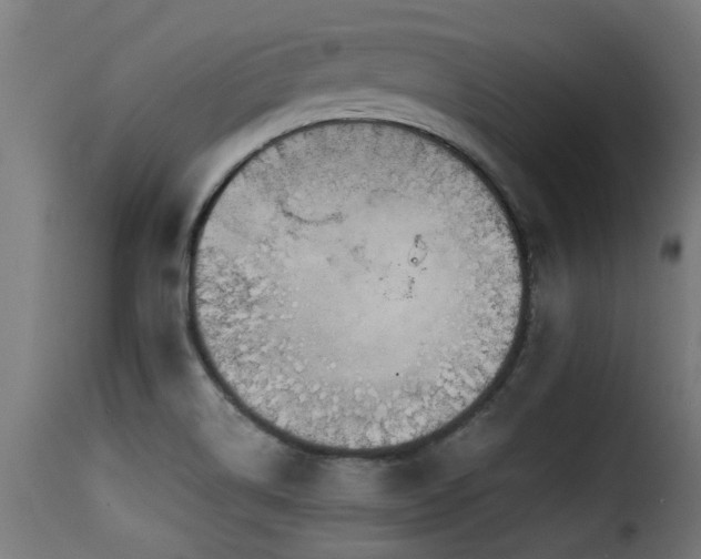 X0000116001514200911191412