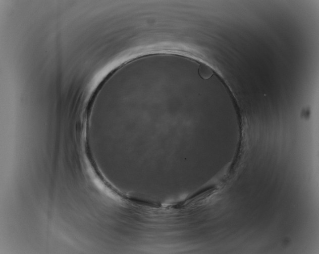 X0000116001515200911191412