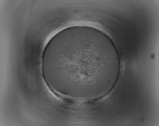 X0000116001517200911191412