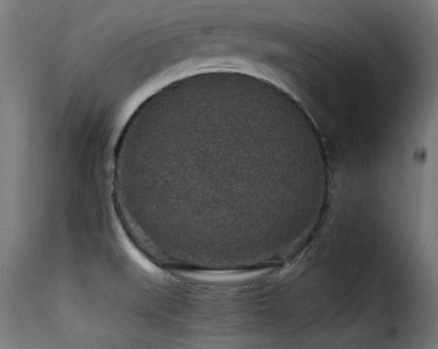 X0000116001519200911191412