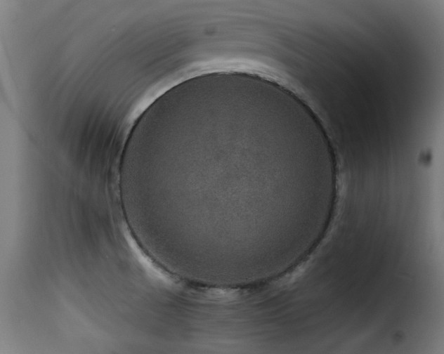 X0000116001521200911191412