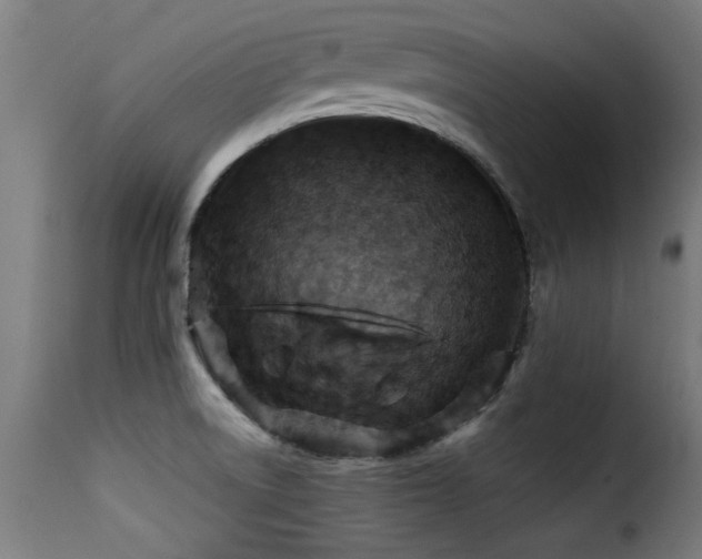 X0000116001522200911191412