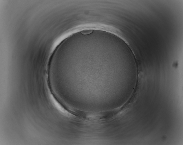 X0000116001523200911191412