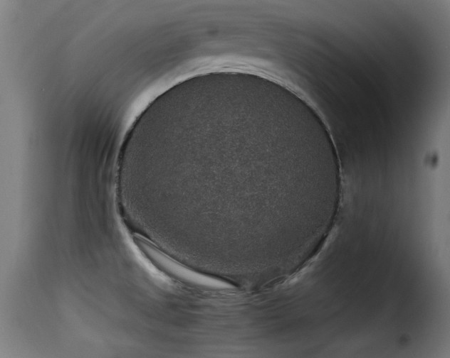 X0000116001525200911191412