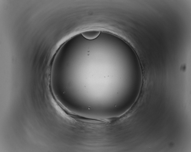 X0000116001526200911191412