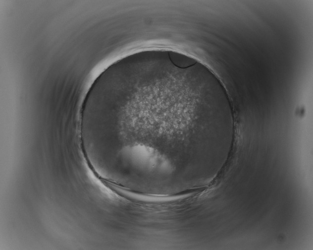 X0000116001527200911191412