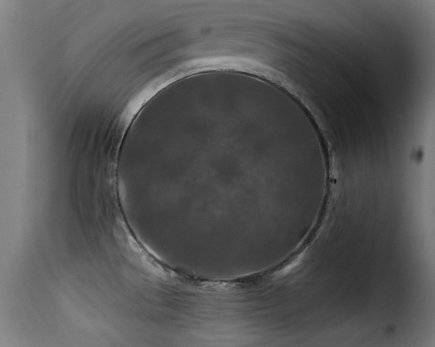 X0000116001529200911191412