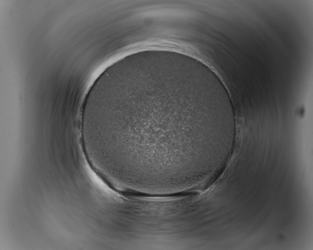 X0000116001531200911191413