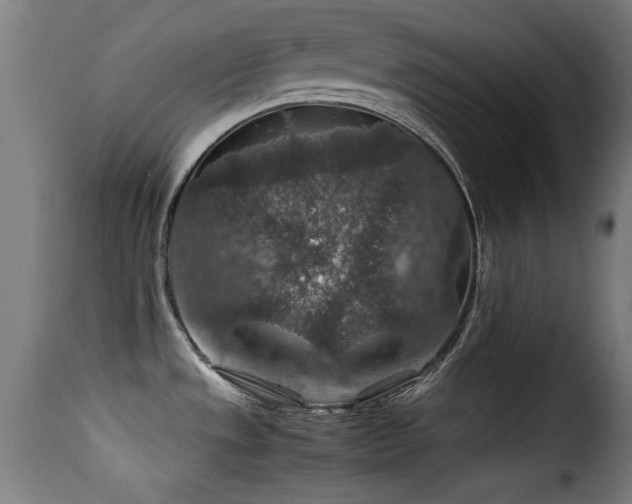 X0000116001533200911191413